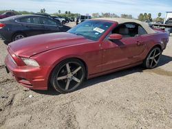 Salvage cars for sale at Mercedes, TX auction: 2014 Ford Mustang