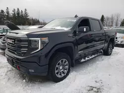 Salvage cars for sale from Copart Cookstown, ON: 2024 GMC Sierra K1500 AT4