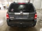 2009 Ford Escape Limited