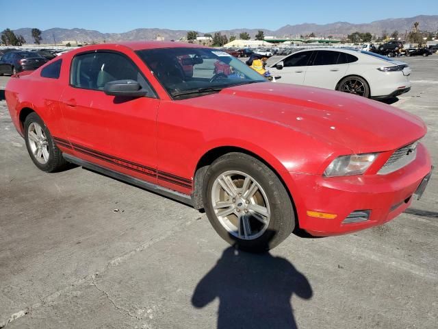 2010 Ford Mustang