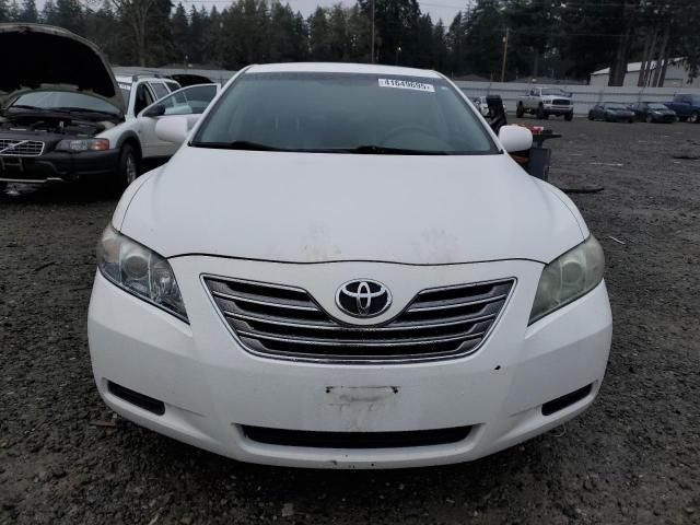 2009 Toyota Camry Hybrid