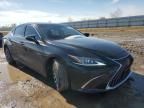 2024 Lexus ES 350 Base