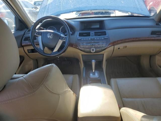 2010 Honda Accord EXL