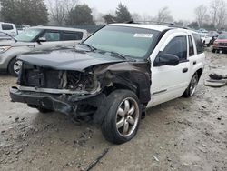 Salvage cars for sale at auction: 2002 Chevrolet Trailblazer