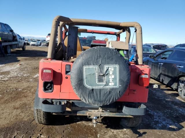 1995 Jeep Wrangler / YJ S