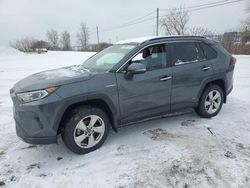 Toyota rav4 Limited salvage cars for sale: 2021 Toyota Rav4 Limited