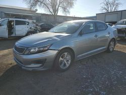 Salvage cars for sale at Albuquerque, NM auction: 2014 KIA Optima Hybrid