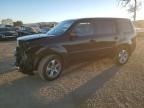 2014 Honda Pilot EXL