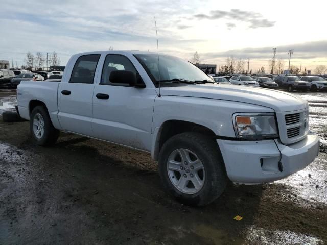 2011 Dodge Dakota SLT