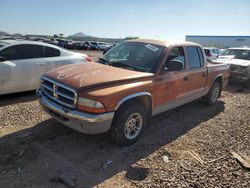 Salvage cars for sale at Phoenix, AZ auction: 2000 Dodge Dakota Quattro