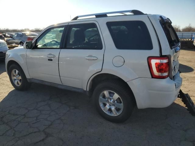 2010 Ford Escape Limited