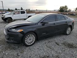 Salvage cars for sale at Mentone, CA auction: 2016 Ford Fusion SE Hybrid