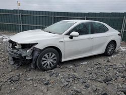 Salvage cars for sale at Duryea, PA auction: 2021 Toyota Camry LE