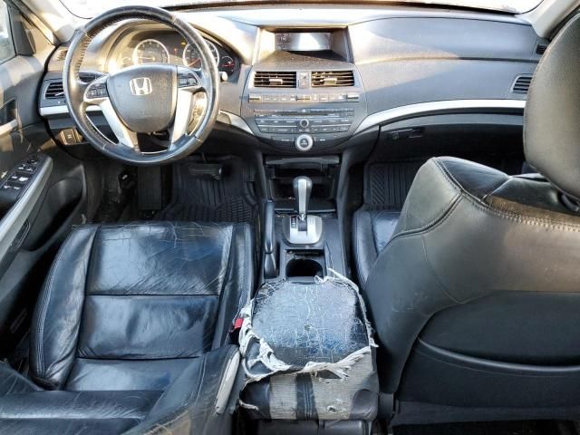 2009 Honda Accord EXL