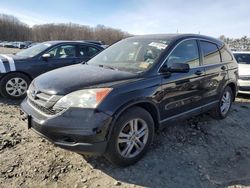 Salvage cars for sale at Windsor, NJ auction: 2011 Honda CR-V EXL