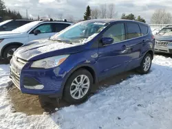 Salvage cars for sale at Bowmanville, ON auction: 2014 Ford Escape SE