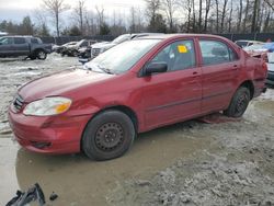 Salvage cars for sale at Waldorf, MD auction: 2004 Toyota Corolla CE