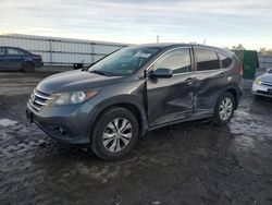 Salvage SUVs for sale at auction: 2014 Honda CR-V EX