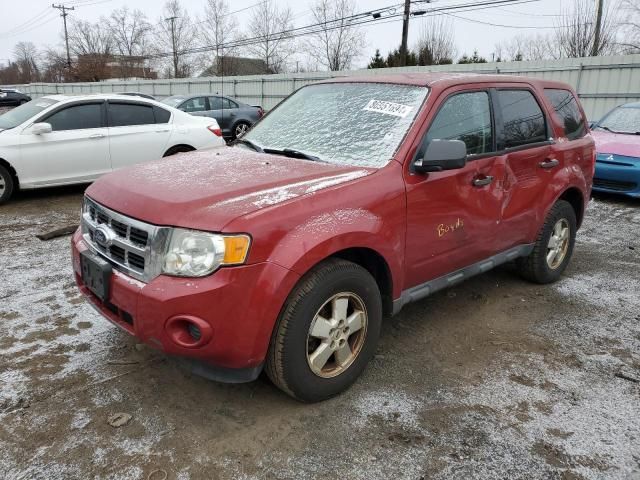 2011 Ford Escape XLS