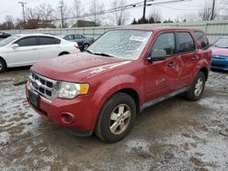 Ford salvage cars for sale: 2011 Ford Escape XLS