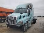 2018 Freightliner Cascadia 113