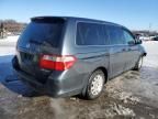 2005 Honda Odyssey LX