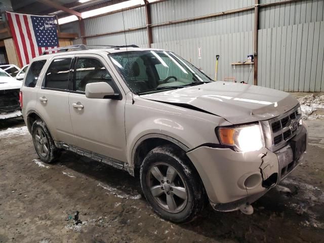 2011 Ford Escape Limited