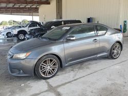 Salvage cars for sale at Homestead, FL auction: 2013 Scion TC