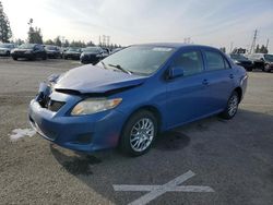 Toyota Corolla salvage cars for sale: 2009 Toyota Corolla Base