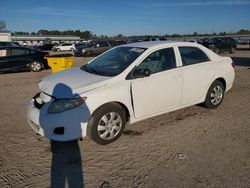 Toyota Corolla salvage cars for sale: 2010 Toyota Corolla Base