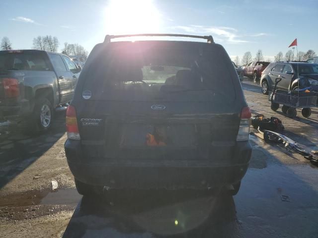 2004 Ford Escape Limited