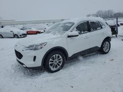 Salvage cars for sale at Davison, MI auction: 2020 Ford Escape SE