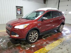 Salvage cars for sale at Marlboro, NY auction: 2016 Ford Escape SE