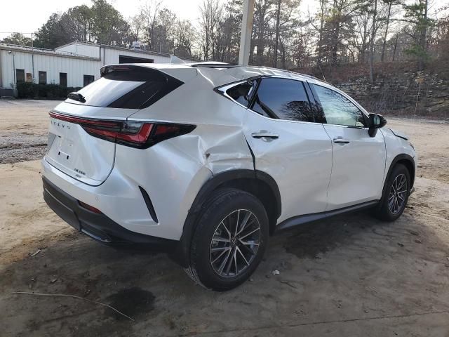 2024 Lexus NX 350H Base