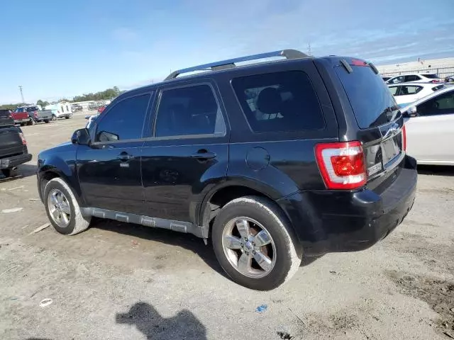 2011 Ford Escape Limited