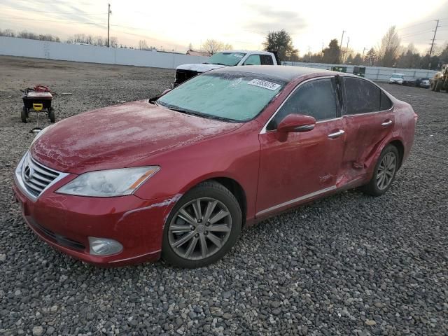 2010 Lexus ES 350