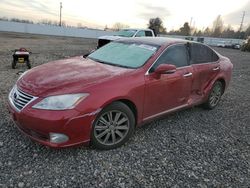 Lexus salvage cars for sale: 2010 Lexus ES 350