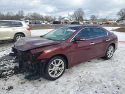 Nissan salvage cars for sale: 2013 Nissan Maxima S