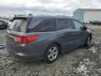 2019 Honda Odyssey EXL