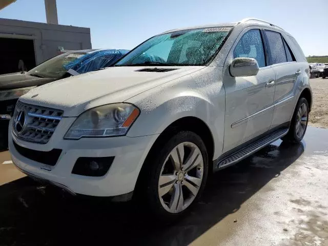 2010 Mercedes-Benz ML 350