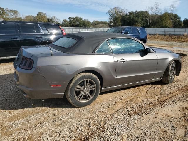 2013 Ford Mustang