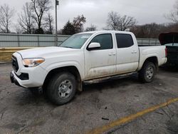 Salvage cars for sale from Copart Rogersville, MO: 2023 Toyota Tacoma Double Cab