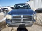 2006 Dodge Dakota Quad SLT