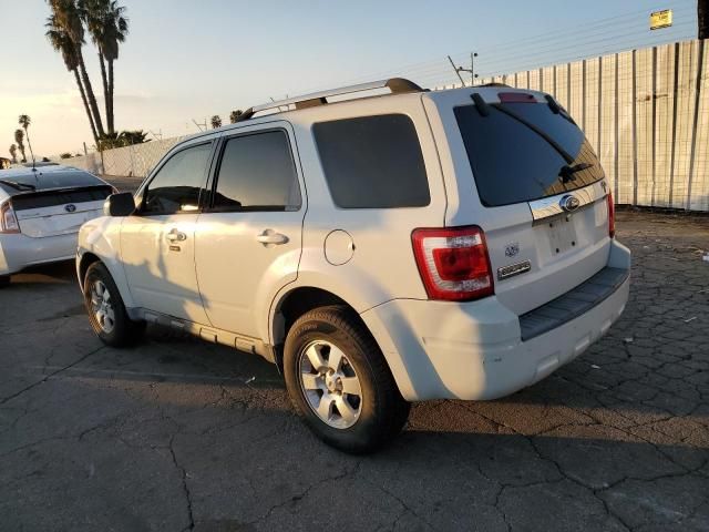 2009 Ford Escape Limited