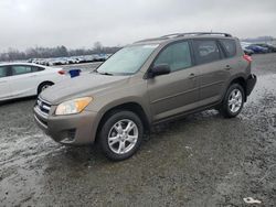 Salvage cars for sale at Lumberton, NC auction: 2011 Toyota Rav4