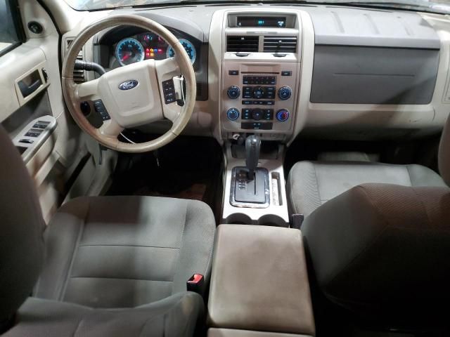 2009 Ford Escape XLT