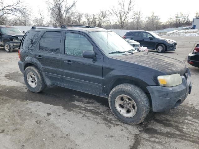 2005 Ford Escape XLT