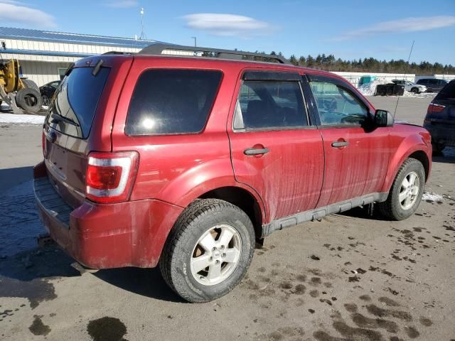 2012 Ford Escape XLT