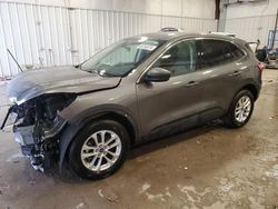 Ford salvage cars for sale: 2022 Ford Escape SE