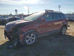 Salvage cars for sale at Chicago Heights, IL auction: 2014 Ford Escape SE